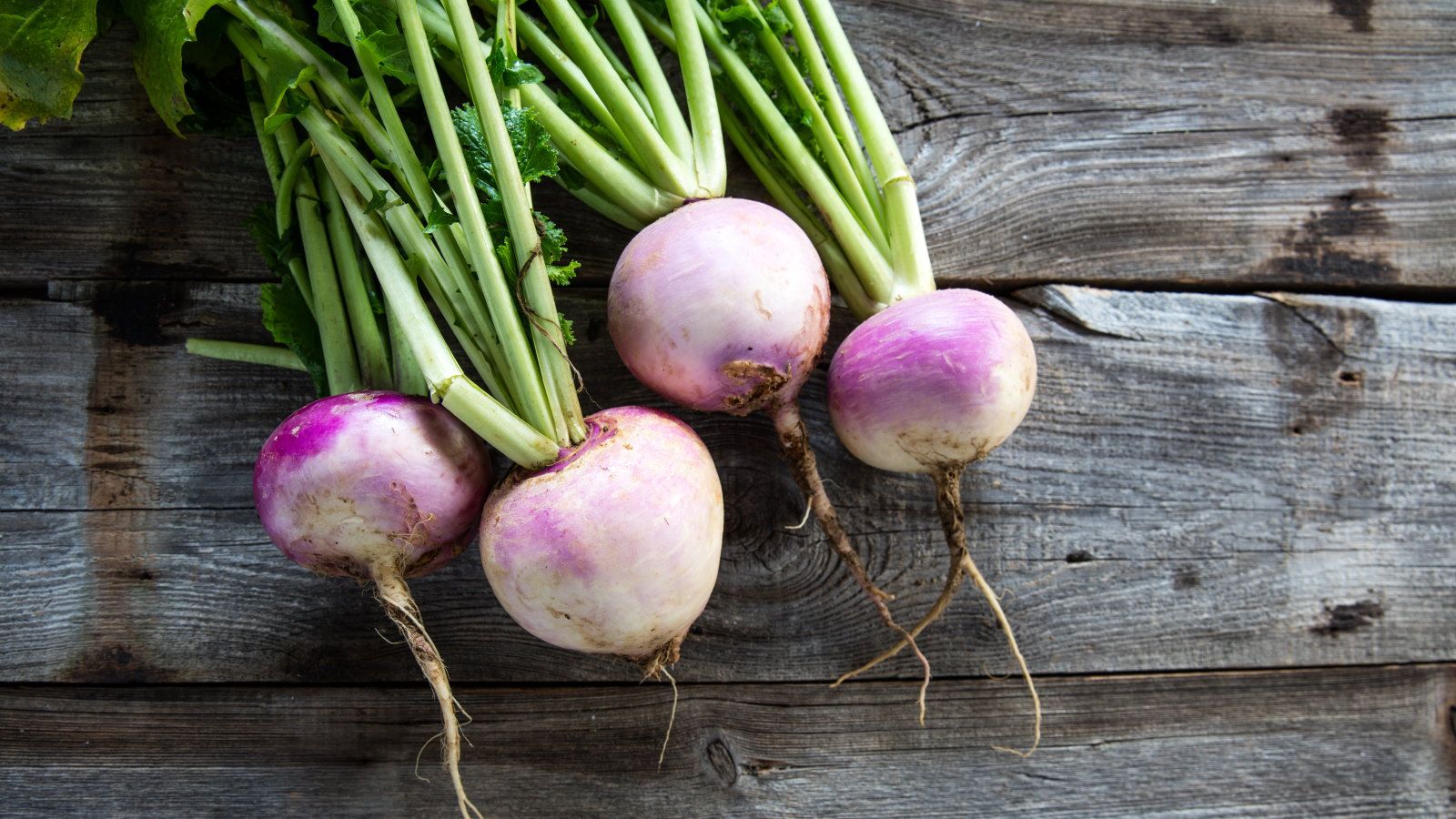 The Versatile Turnip: Cultivation, Cuisine, and Livestock Feed